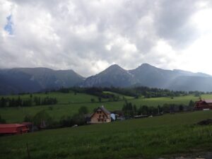DSC03960